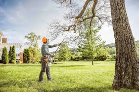 Best Utility Line Clearance  in Rolling Hills Estates, CA