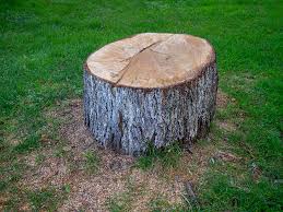 Best Tree Mulching  in Rolling Hills Estates, CA